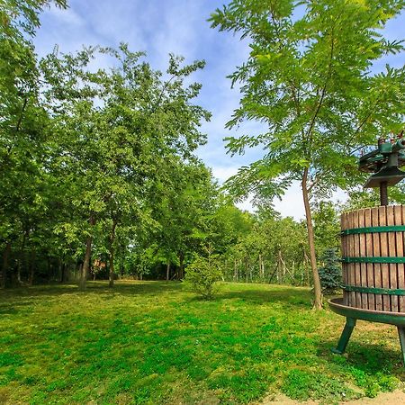 Fortuna Apartments Pacir Екстер'єр фото